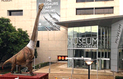 Queensland Museum Southbank, Brisbane